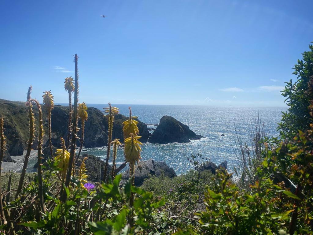 Casa Do Brejao Campo E Praia Одемира Экстерьер фото
