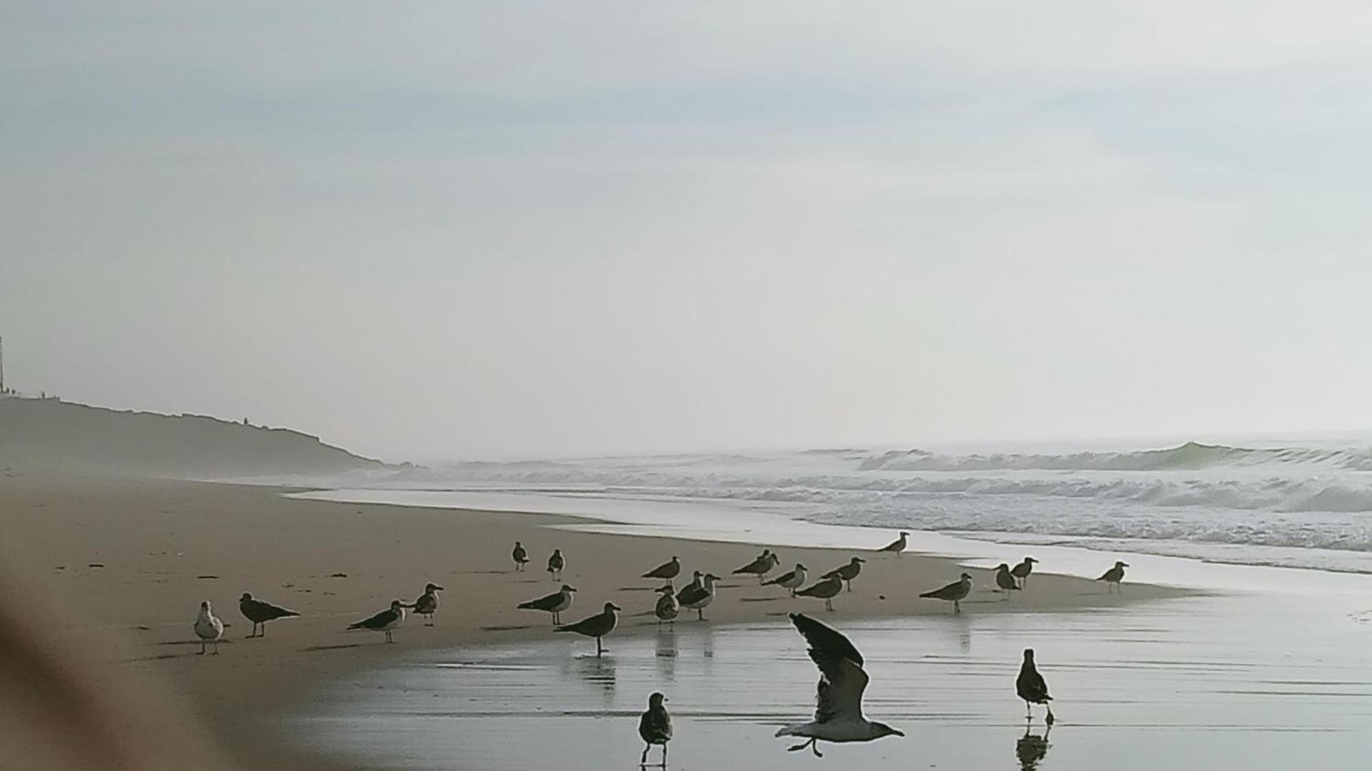 Casa Do Brejao Campo E Praia Одемира Экстерьер фото